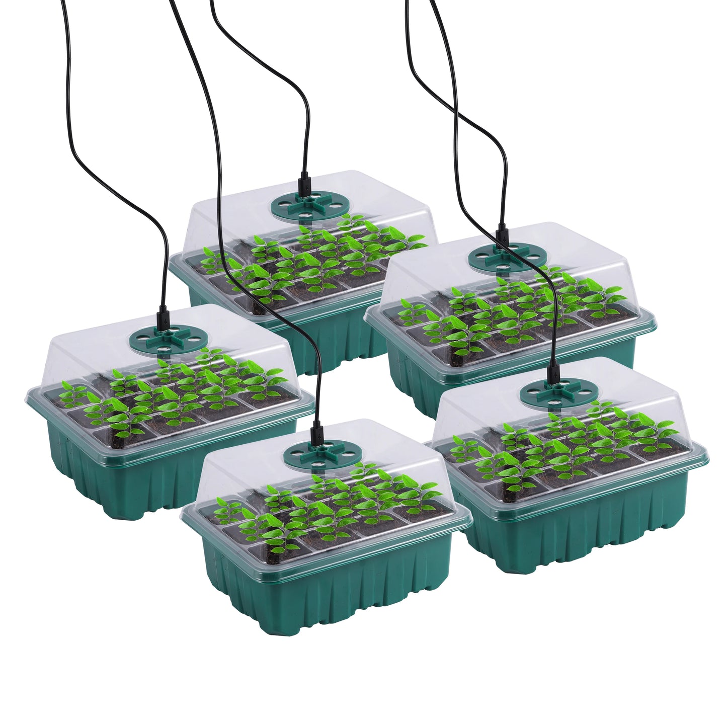 Seed Starter Tray Box With LED Grow Light for Fast Germination