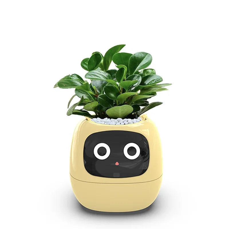 Ivy Smart Planter: Fun with 7 Smart Sensors