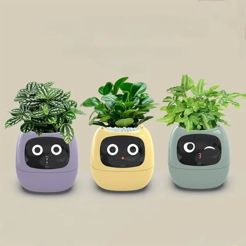 Ivy Smart Planter: Fun with 7 Smart Sensors