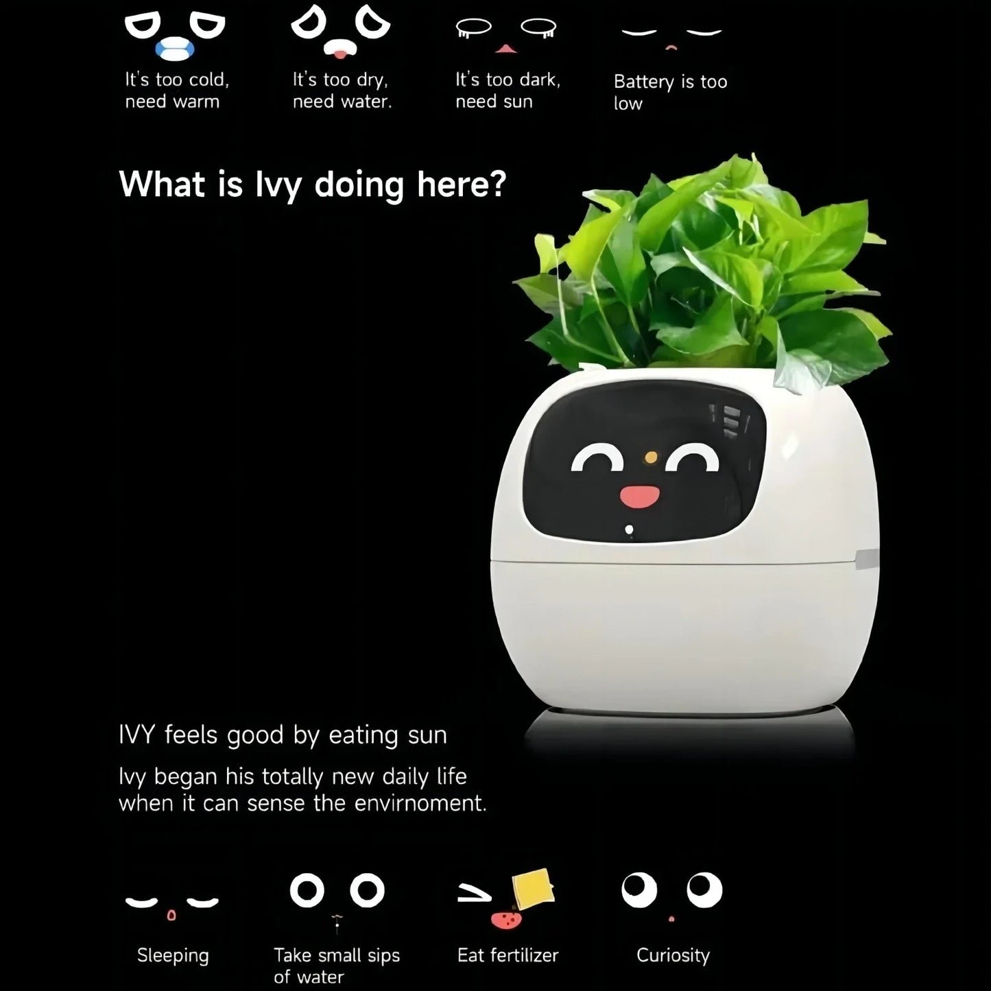 Ivy Smart Planter: Fun with 7 Smart Sensors