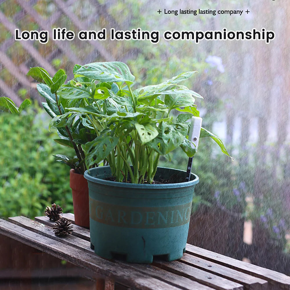 Universal Soil Moisture Tester for Accurate Plant Care