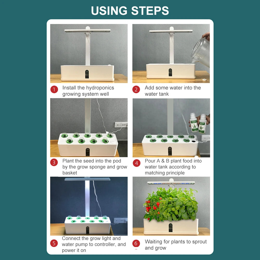Indoor Hydroponics Kit with Adjustable LED Lights