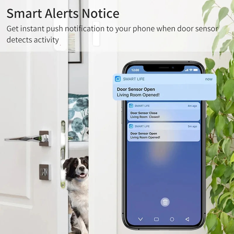 NoEnName WiFi Door Open Closed Detector With App Alerts
