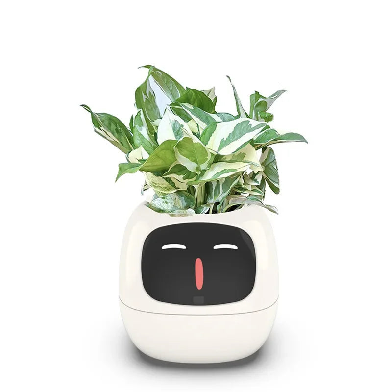 Ivy Smart Planter: Fun with 7 Smart Sensors