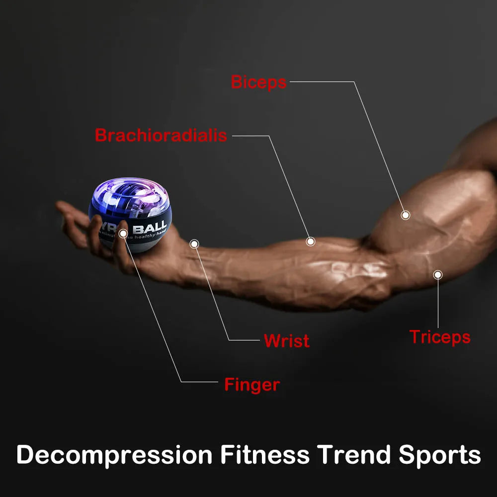 A muscular arm extends horizontally, holding the Self-Starting Gyro Ball for Enhanced Grip Strength. Labels point to biceps, brachioradialis, wrist, triceps, and fingers, highlighting targeted muscles with this innovative forearm exerciser. Text reads Decompression Fitness Trend Sports Home Gym Equipment.