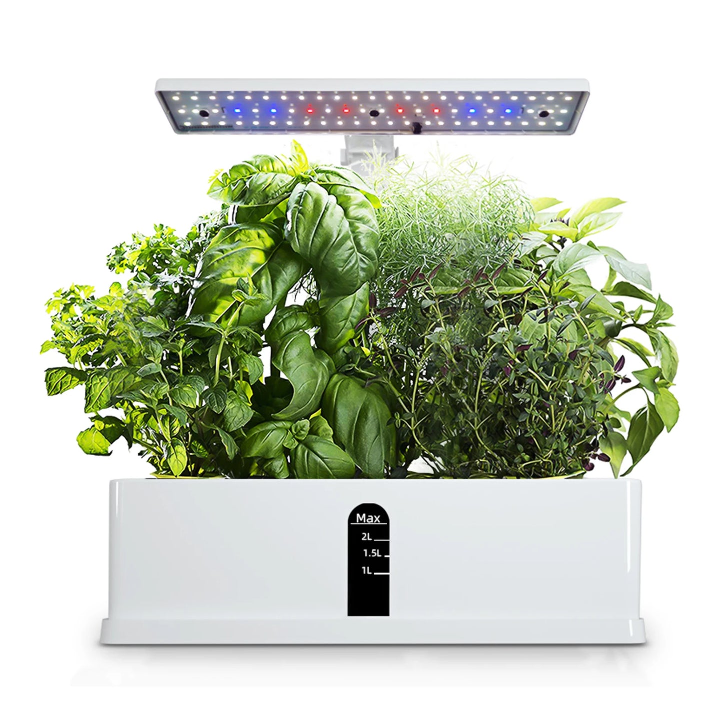 Indoor Hydroponics Kit with Adjustable LED Lights