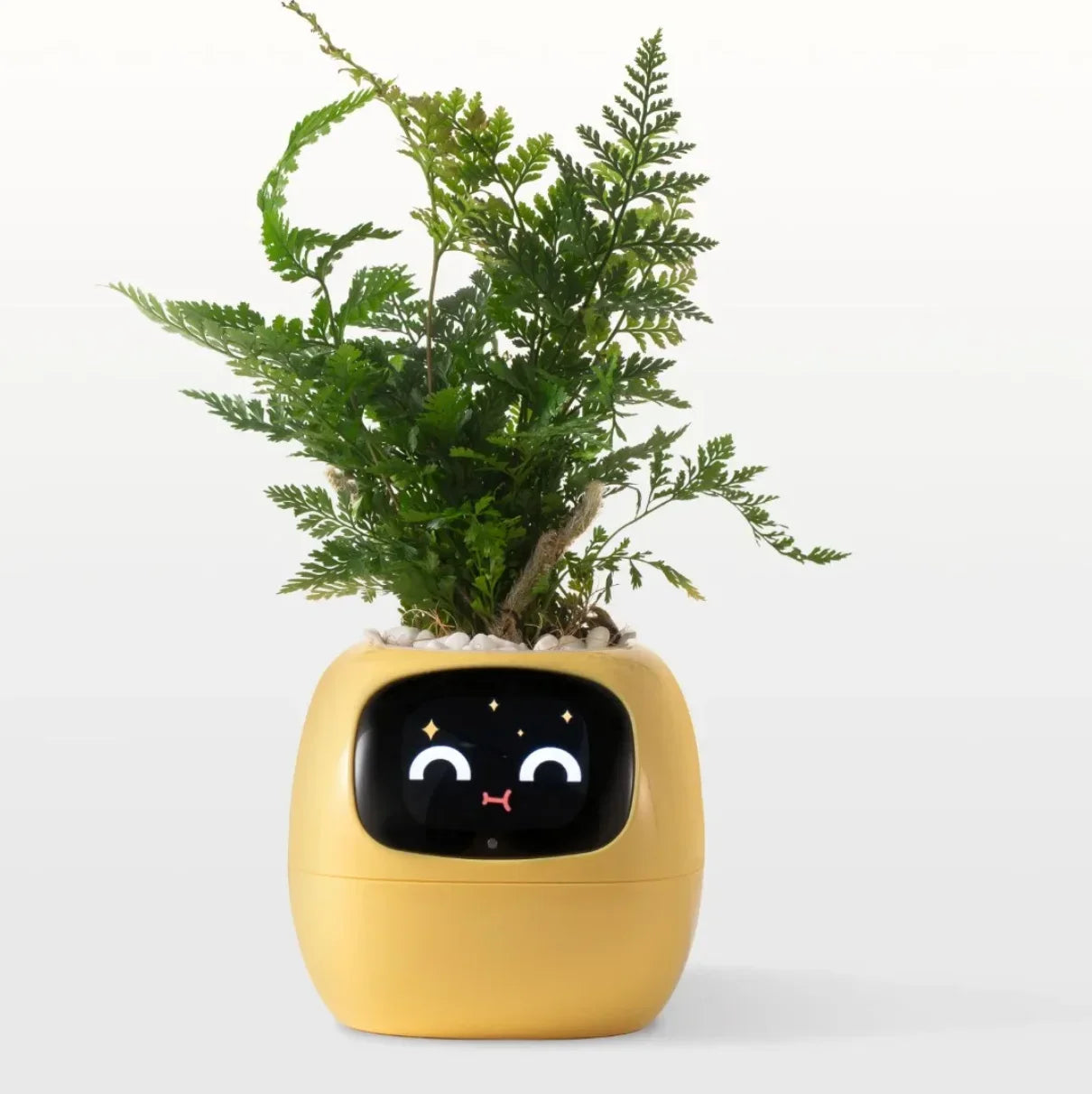 Ivy Smart Planter: Fun with 7 Smart Sensors