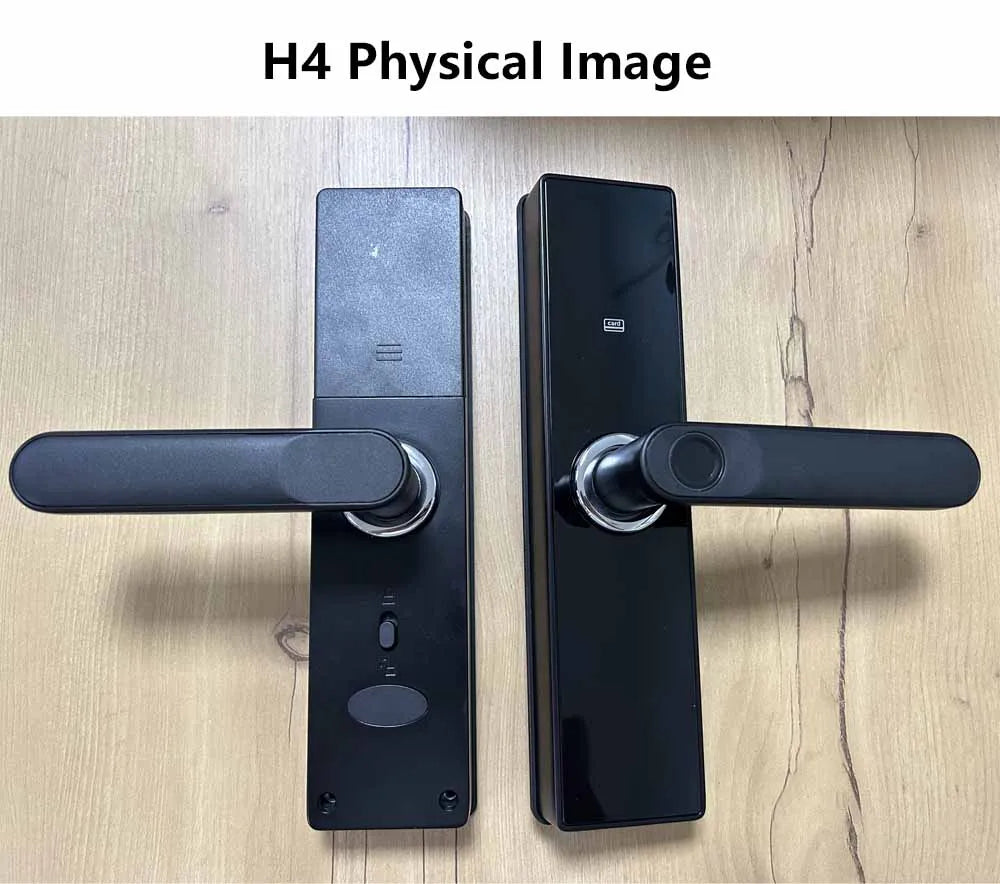 RAYKUBE Tuya Wifi Smart Lock H4 - Keyless Access Solution