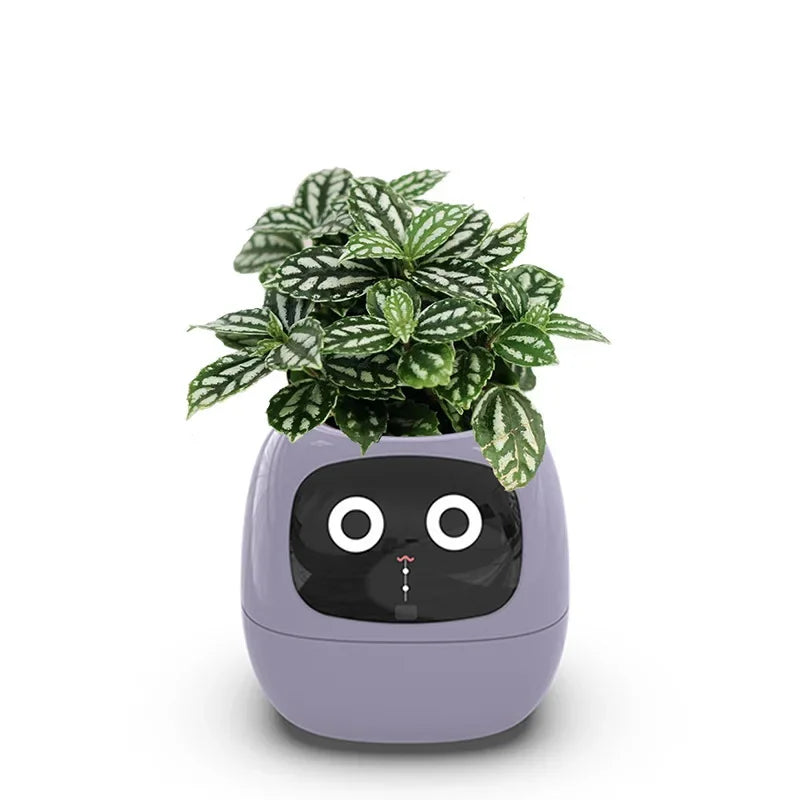 Ivy Smart Planter: Fun with 7 Smart Sensors