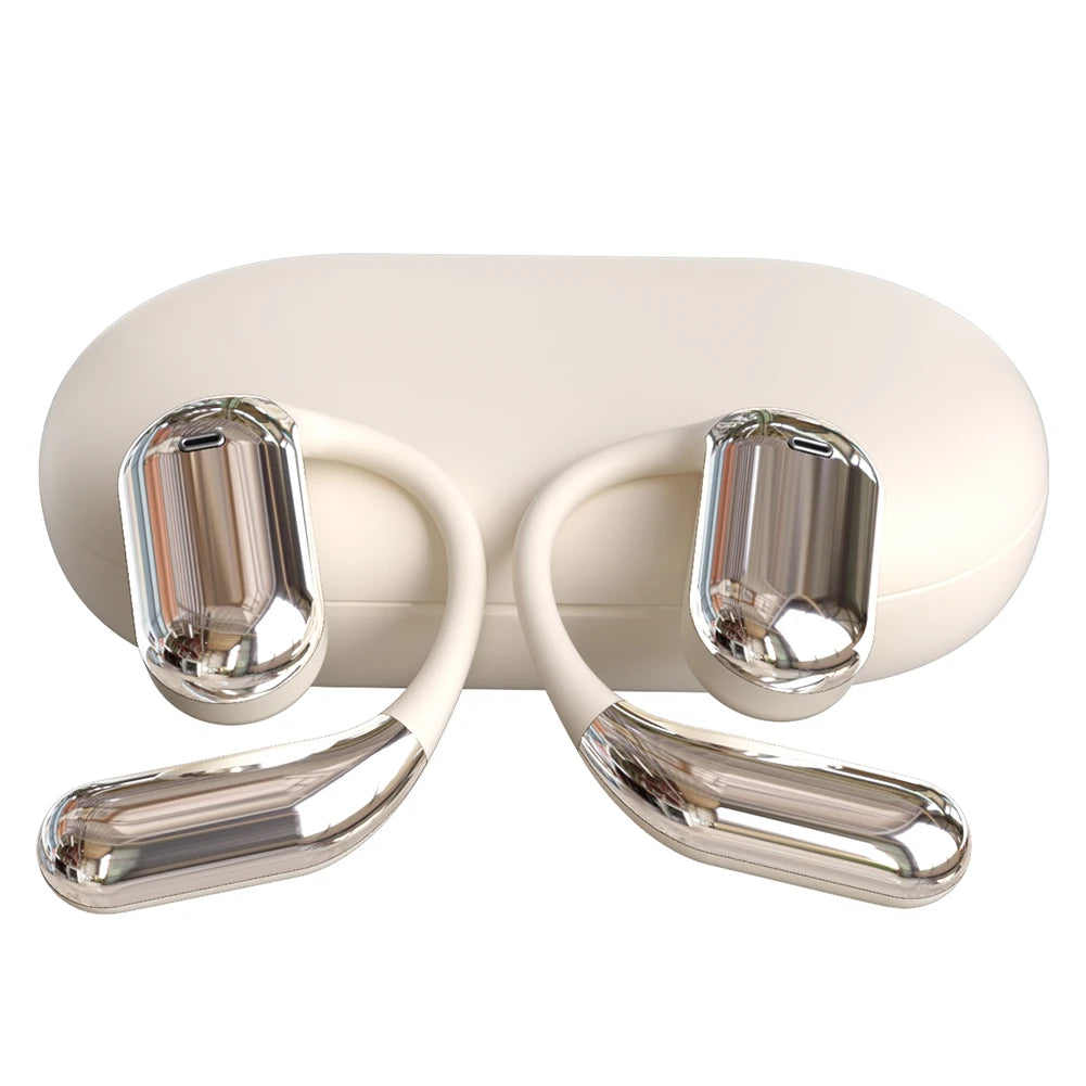 ALLOYSEED 3-in-1 Translator Earbuds - 140 Languages, Bluetooth