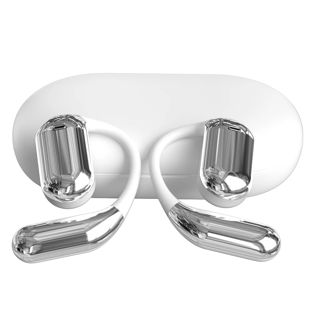 ALLOYSEED 3-in-1 Translator Earbuds - 140 Languages, Bluetooth