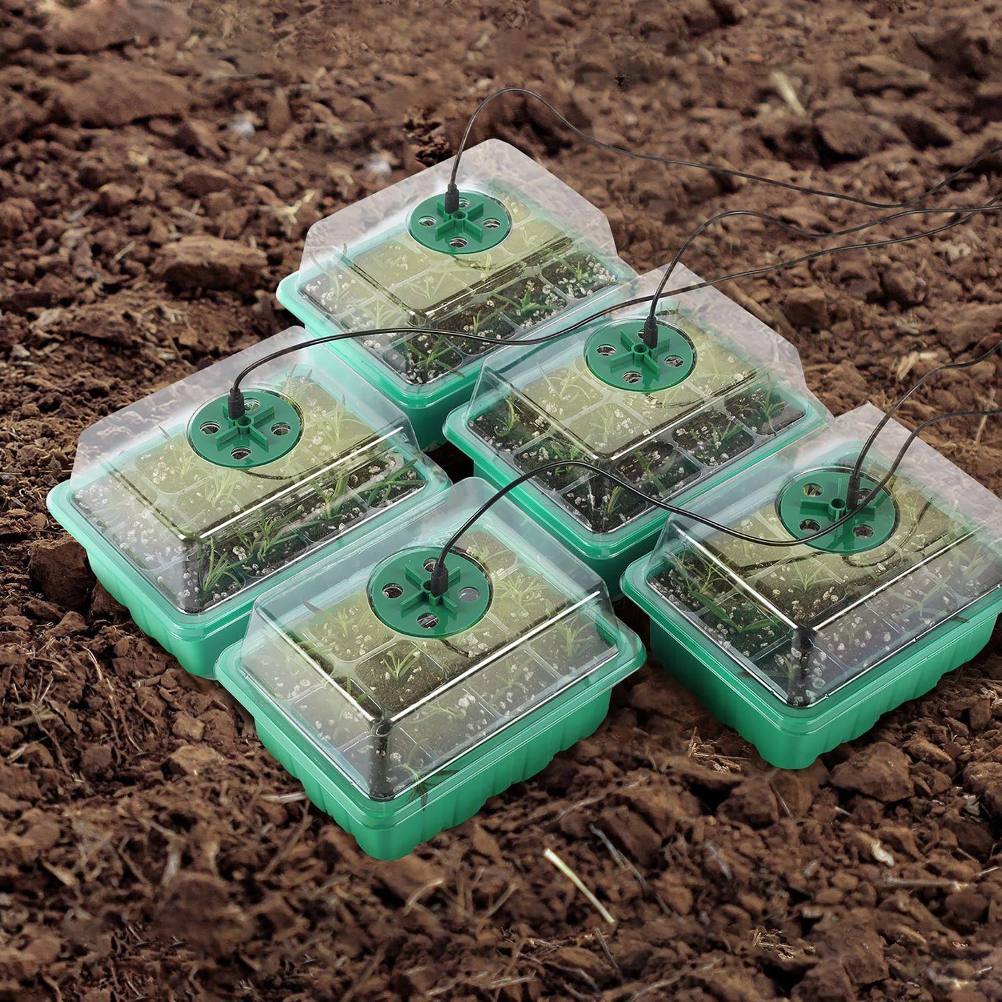 Seed Starter Tray Box With LED Grow Light for Fast Germination