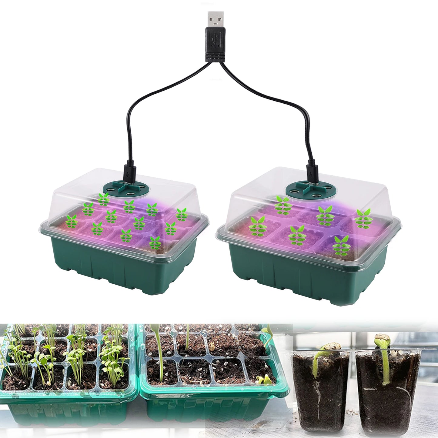 Seed Starter Tray Box With LED Grow Light for Fast Germination