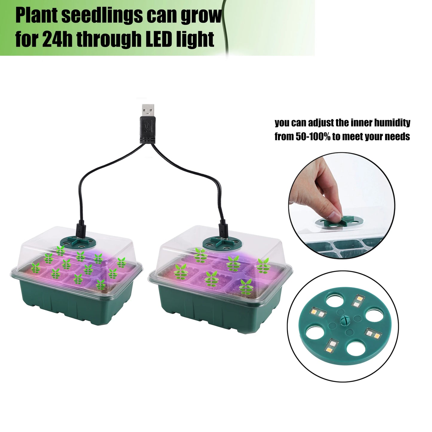Seed Starter Tray Box With LED Grow Light for Fast Germination