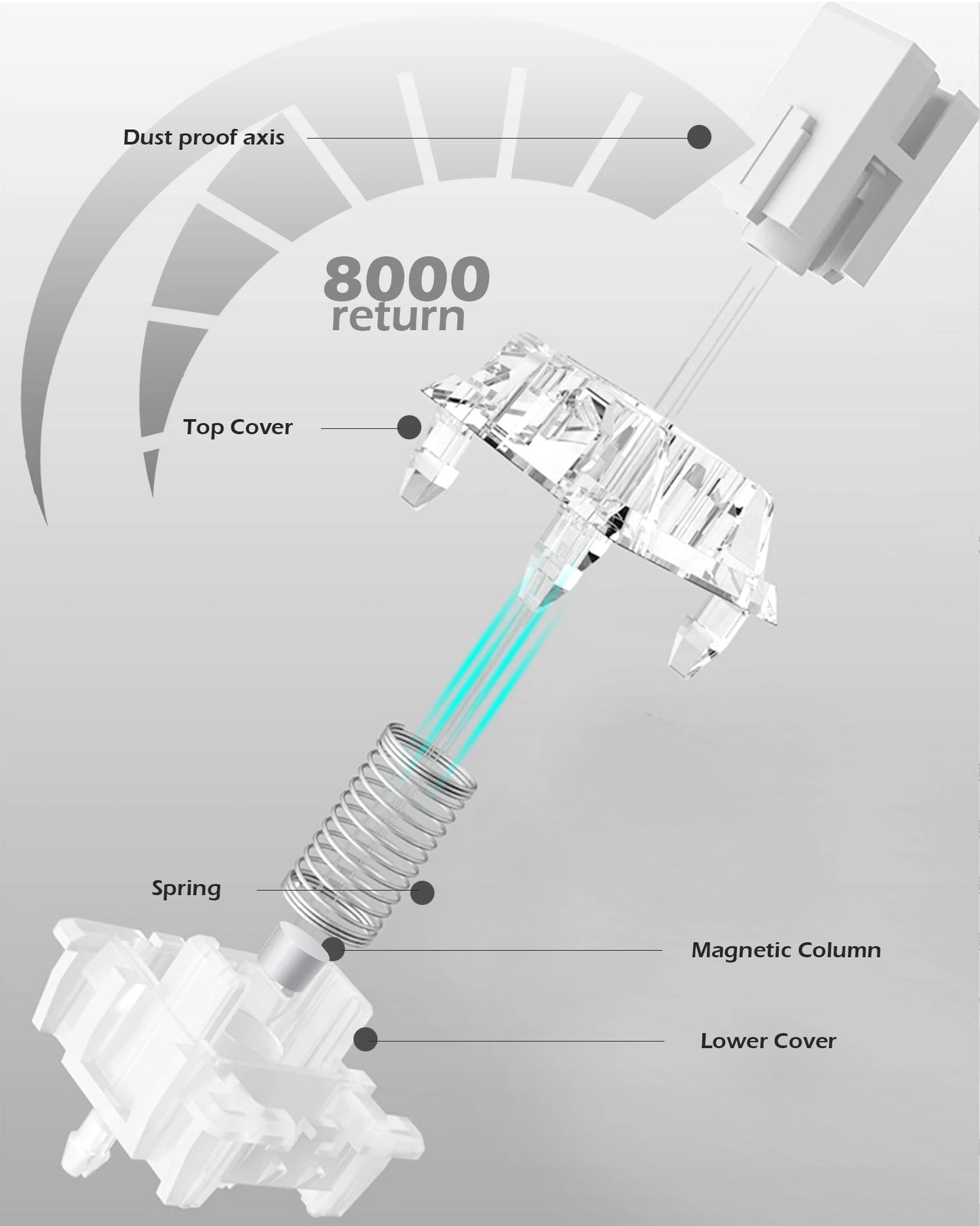 The Raven68 Magnetic Keyboard includes a diagram of its hot-swappable mechanical switch components: dust-proof axis, top cover, spring, magnetic column, and lower cover. It features an 8K return rate arc indicating performance and durability with a modern design and optional RGB lighting for flair.