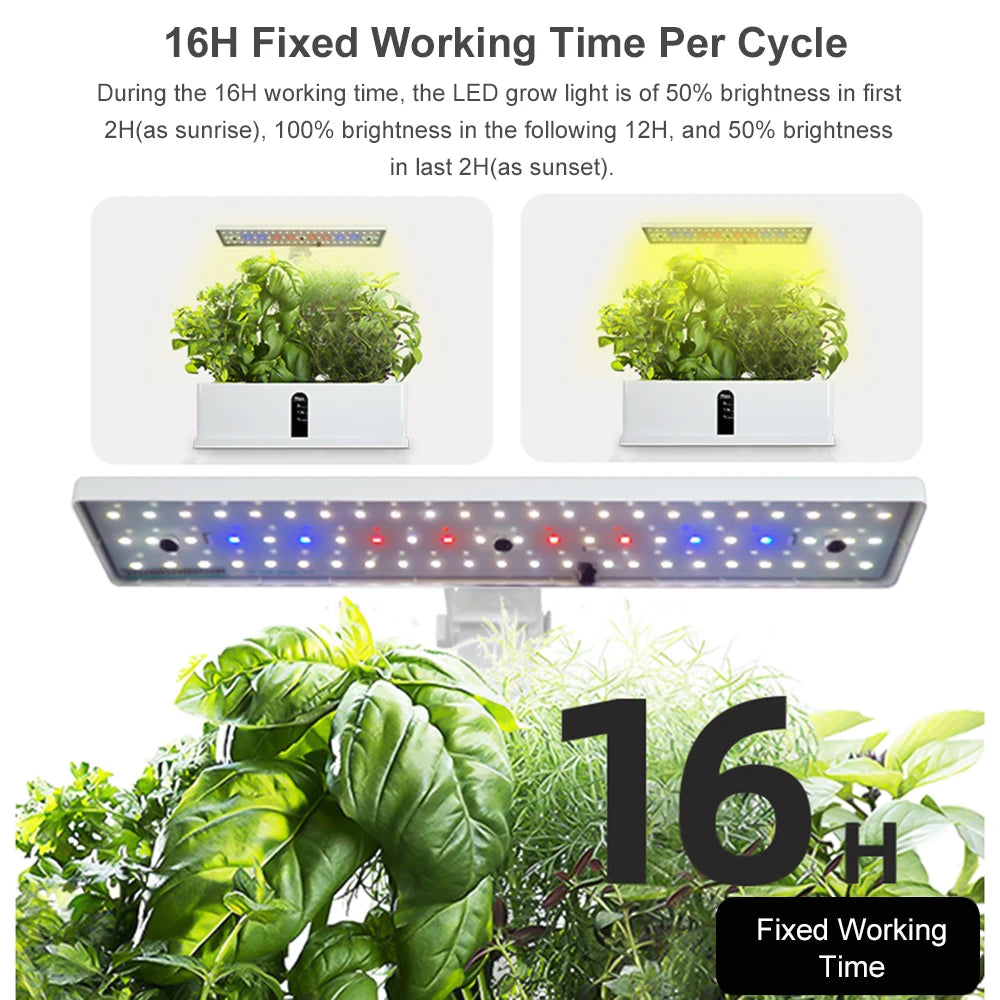 Smart Hydroponics Indoor Garden Kit with LED Lights