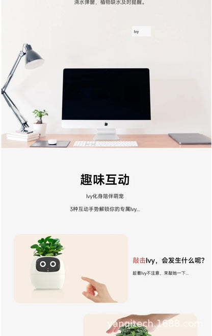 Smart Flowerpot for Indoor Plants 2025 Hot Sales