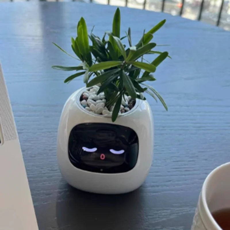 Smart Flowerpot for Indoor Plants 2025 Hot Sales