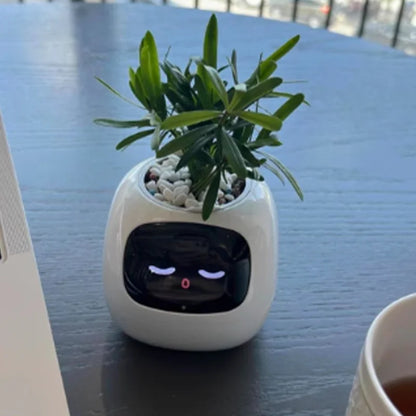 Smart Flowerpot for Indoor Plants 2025 Hot Sales