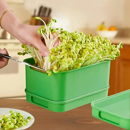 Sleek Sprout Grower: Stylish, Compact, Universal Fit