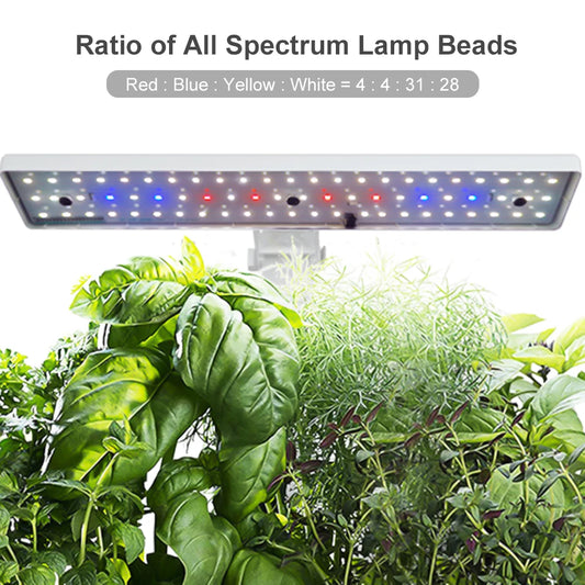 Indoor Hydroponics Kit with Adjustable LED Lights