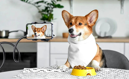 Supporto universale regolabile per telefono per la visione a mani libere