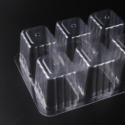 Seed Starter Tray Box With LED Grow Light for Fast Germination