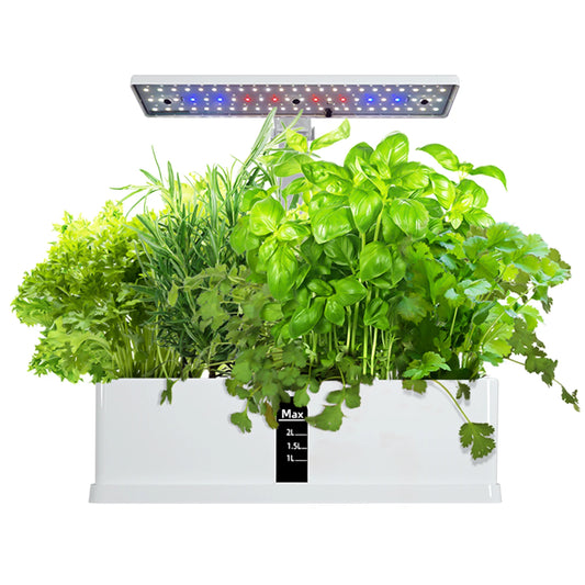 Smart Hydroponics Indoor Garden Kit with LED Lights