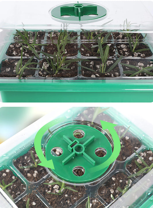 Seed Starter Tray Box With LED Grow Light for Fast Germination