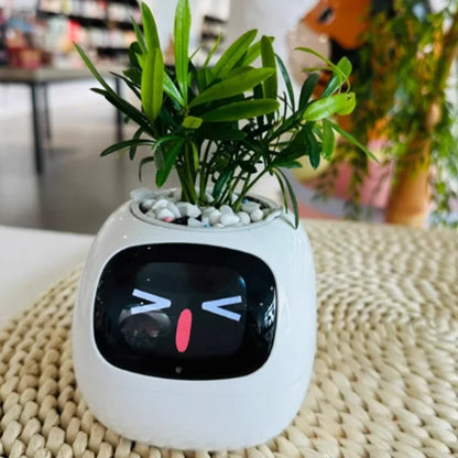 Smart Flowerpot for Indoor Plants 2025 Hot Sales