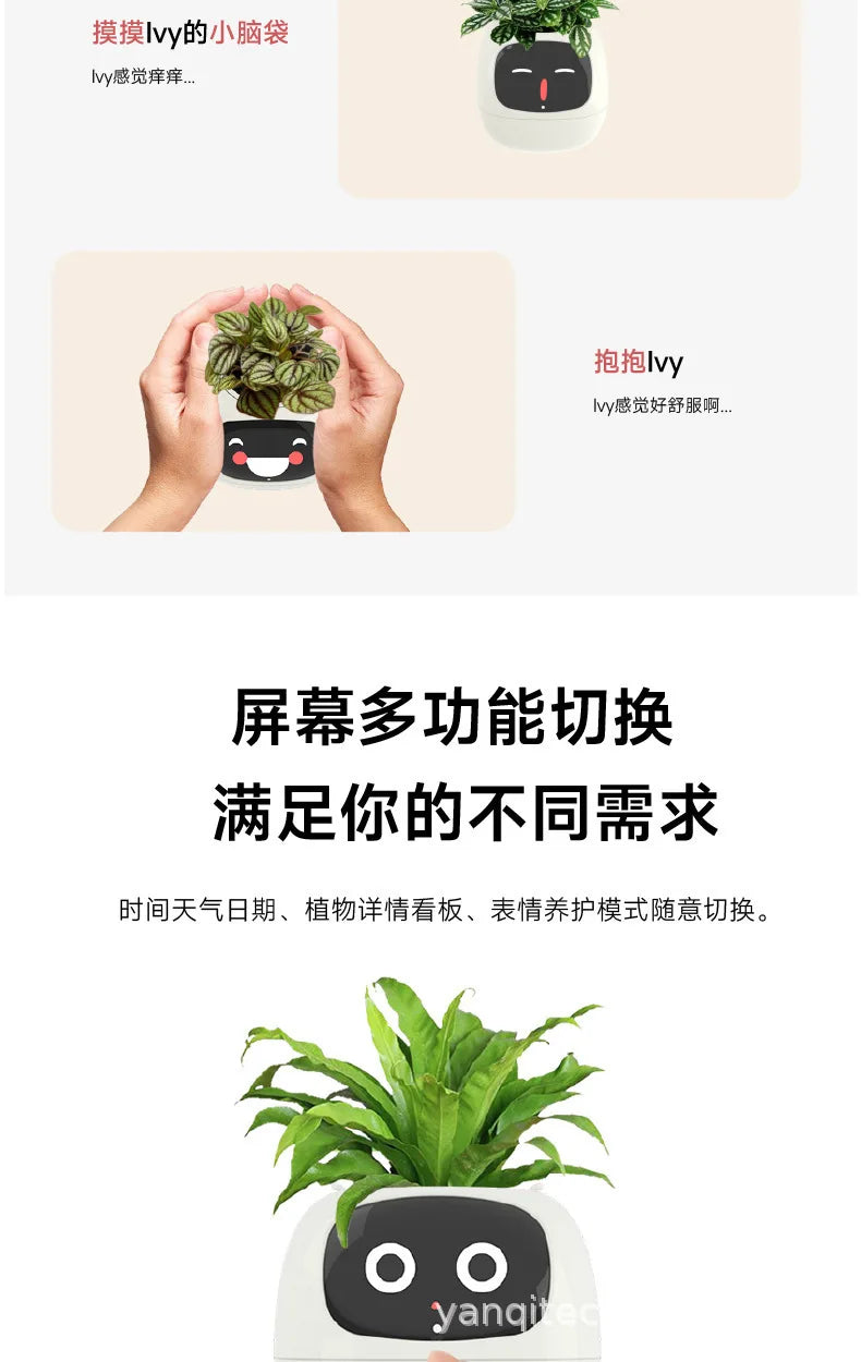 Smart Flowerpot for Indoor Plants 2025 Hot Sales