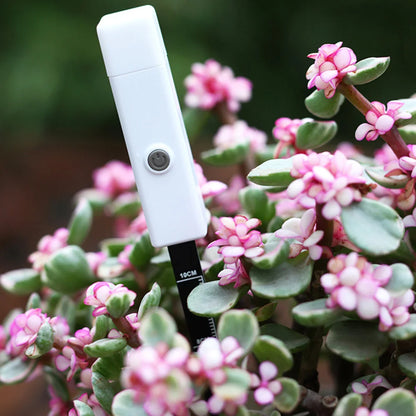 Universal Soil Moisture Tester for Accurate Plant Care
