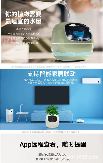Smart Flowerpot for Indoor Plants 2025 Hot Sales