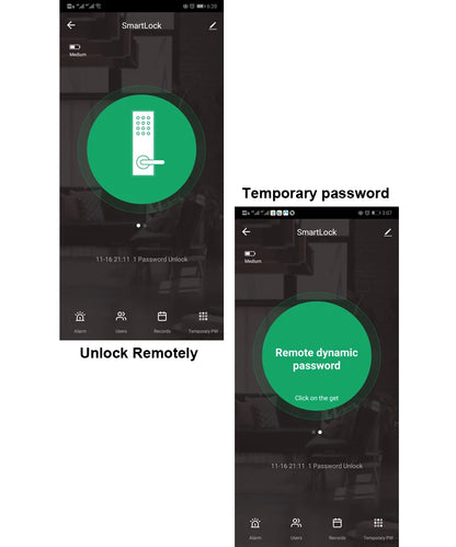 RAYKUBE Tuya Wifi Smart Lock H4 - Keyless Access Solution