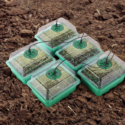 Seed Starter Tray Box With LED Grow Light for Fast Germination