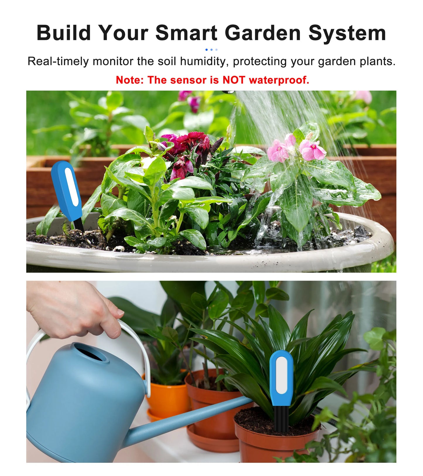 GIRIER Smart Bluetooth Soil Moisture Meter for Smart Gardening