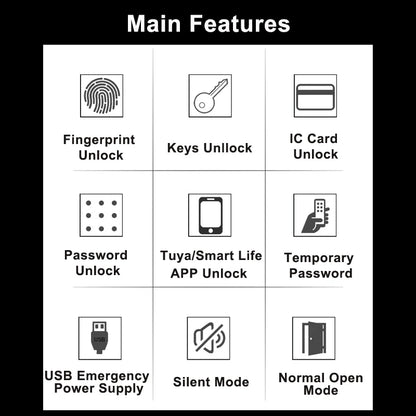 RAYKUBE Tuya Wifi Smart Lock H4 - Keyless Access Solution
