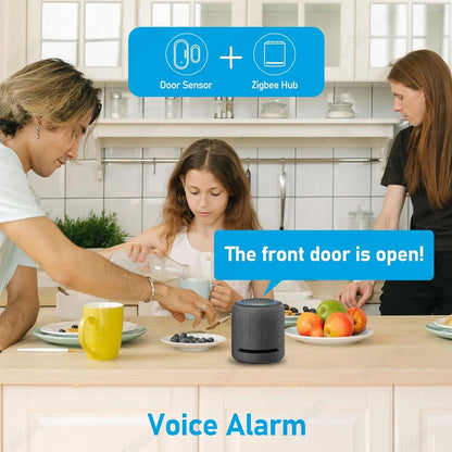 Smart Zigbee Door Sensor With App Alerts For Safety