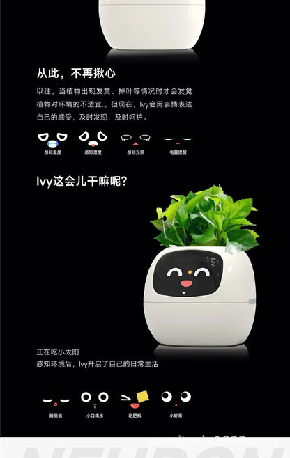 Smart Flowerpot for Indoor Plants 2025 Hot Sales