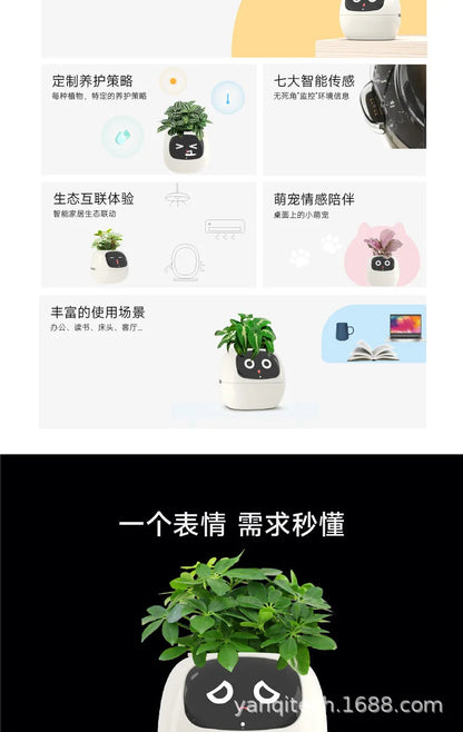 Smart Flowerpot for Indoor Plants 2025 Hot Sales